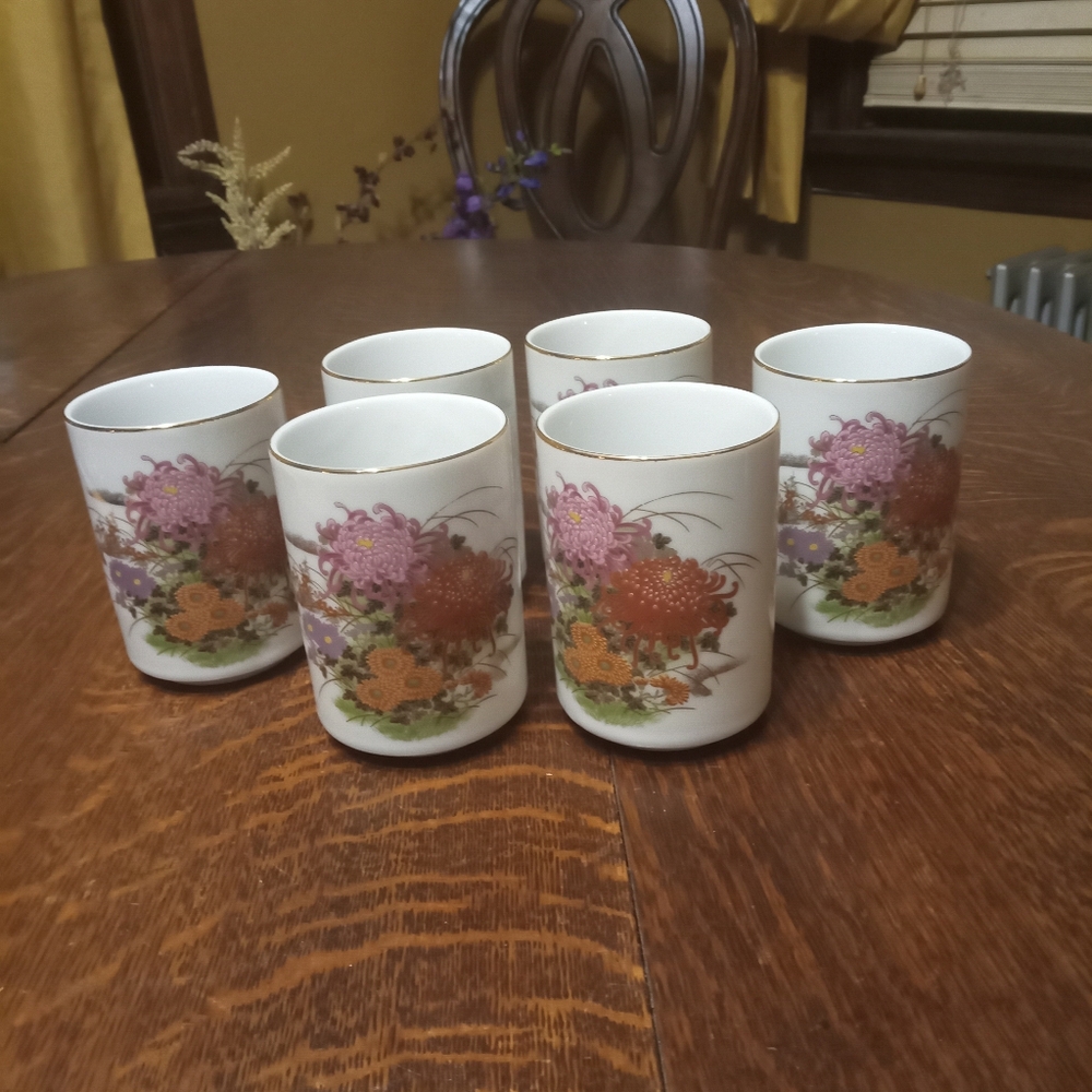 Vintage Shibata Handless Teacups Set Of 6